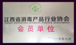 �Y�|�s�u���}