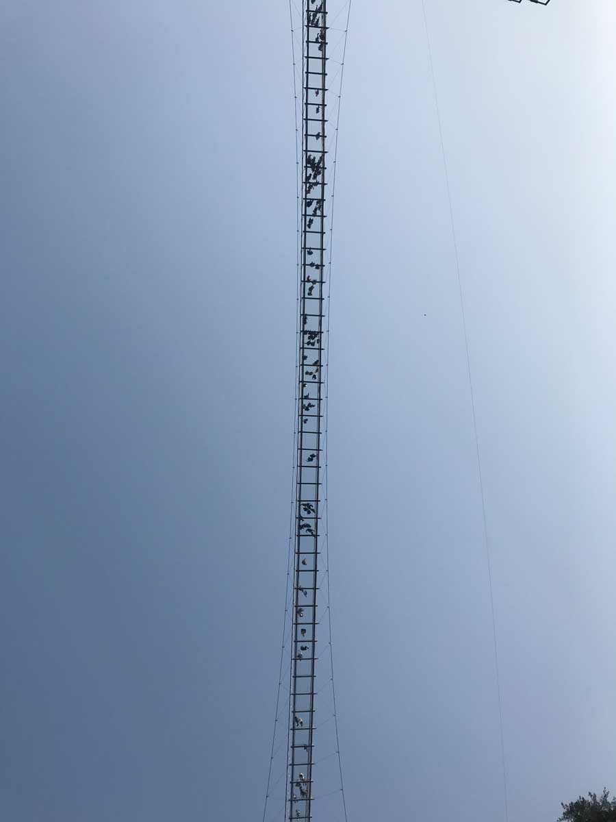 �F�ʯţկ����