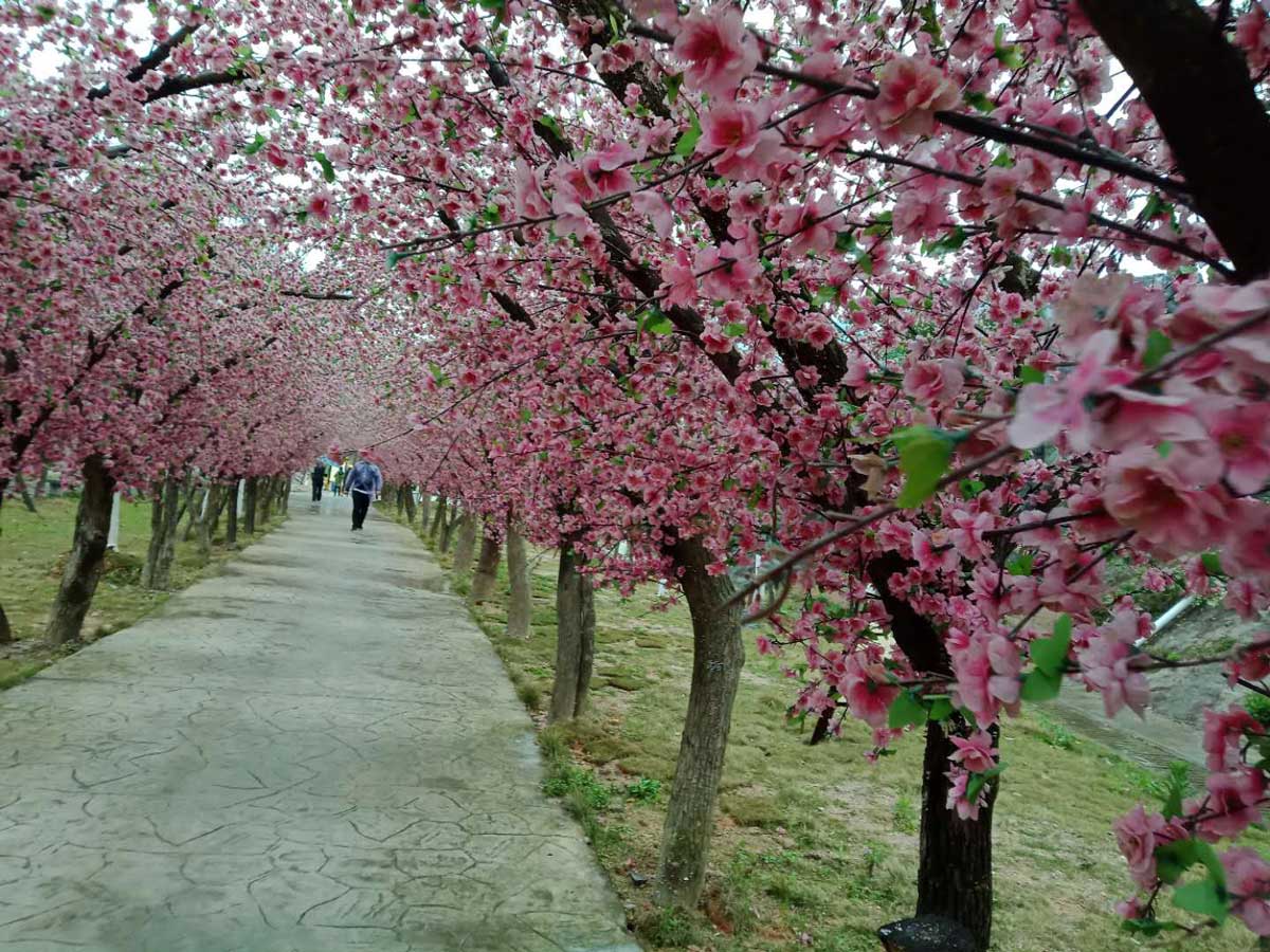 �F�ʯţկ����